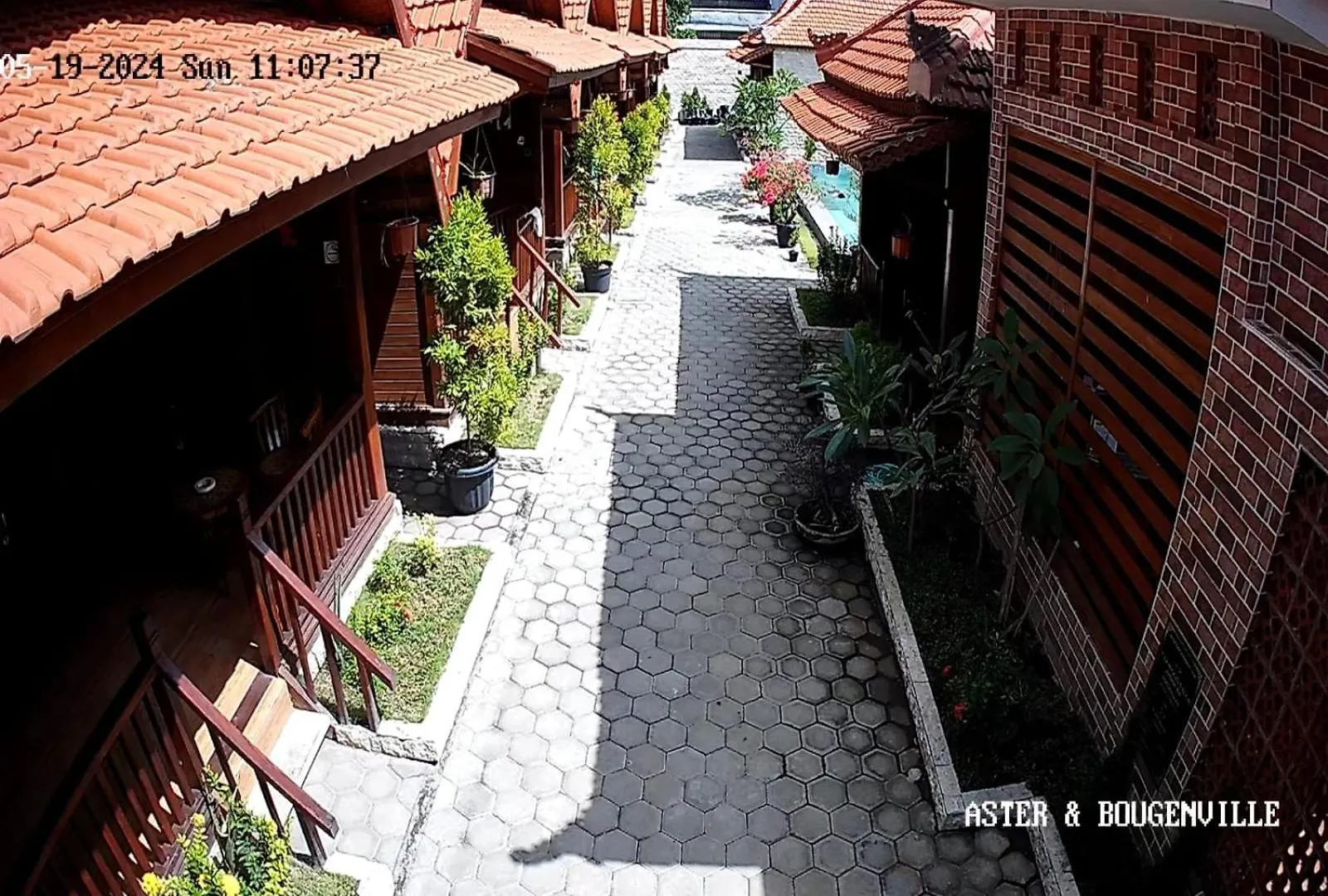 Pensión Uli Wood Villa, Jimbaran Bali - Near Gwk